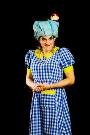 BUTTONS: A CINDERELLA STORY Is Charles Court Opera's 12th Annual Boutique Pantomime Image