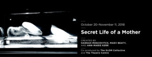 SECRET LIFE OF A MOTHER Comes to The Theatre Centre 