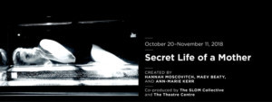SECRET LIFE OF A MOTHER Comes to The Theatre Centre Image