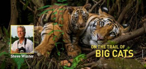 National Geographic Live: On The Trail Of Big Cats Comes to Playhouse Square 