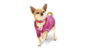 LEGALLY BLONDE Comes to The Everyman Image