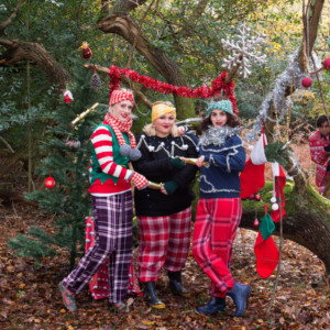 Internationally-Acclaimed Trio The Spitfire Sisters Perform At Theatre Royal Winchester Image