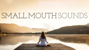 SpeakEasy Stage Announces SMALL MOUTH SOUNDS 
