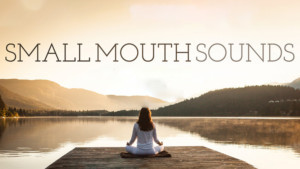 SpeakEasy Stage Announces SMALL MOUTH SOUNDS Image