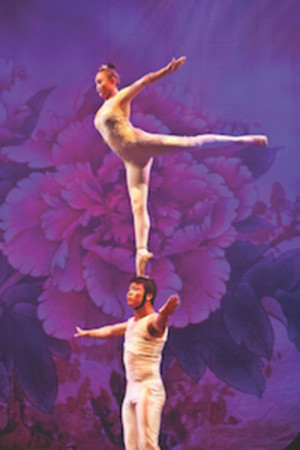 The Golden Dragon Acrobats Come to Popejoy Next Month Image