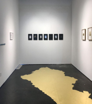 Announcing The 2018 Miami NADA Artadia Awardee Image