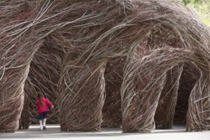 Mounts Botanical Garden Announces its Next Major Exhibition: TWISTED: Patrick Dougherty Entwined 