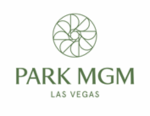 Lady Gaga Enigma Headlines Grand Opening Of New Las Vegas Resort, Park MGM 