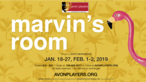 Avon Players To Present MARVIN'S ROOM 