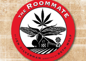 Citadel To Stage Chicago Suburban Premiere Of Jen Silverman's Comedy THE ROOMMATE Image