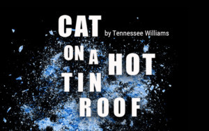 Cast Announced For San Jose Stage Company's CAT ON A HOT TIN ROOF 