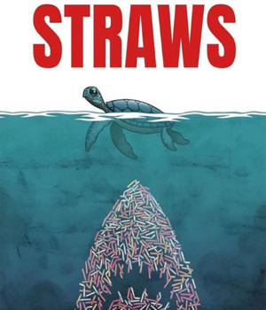 FRIDAY NIGHT FLICKS SERIES Announced At Bay Street Theater Image