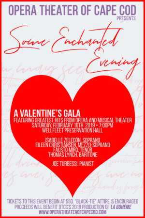 Opera Theater Of Cape Cod Announces Valentine's Celebration Gala Image