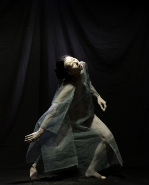 Vangeline Theater And The New York Butoh Institute Present Hitohana Hitosekai And The Workshop Make Visible  Image