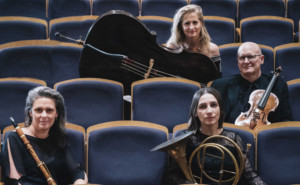 Soloists From the Australian Romantic and Classical Orchestra Perform This March Image