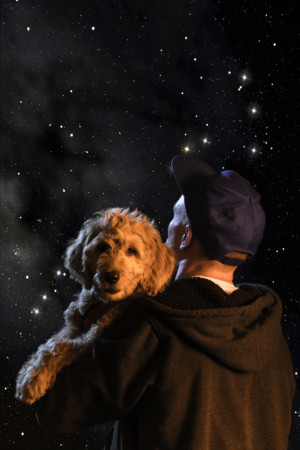 THE CURIOUS INCIDENT OF THE DOG IN THE NIGHT-TIME Comes to Portland Actors Conservatory 