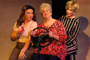 The Off Broadway Palm Presents MAMA WON'T FLY Image