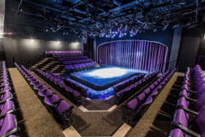 Purple Rose Theatre Holds 2019/20 General Auditions 