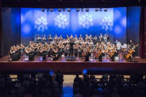 Stoneleigh Youth Orchestra Comes to Cadogan Hall Image