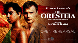 Shakespeare Theatre Company Announces Free And Final Open Rehearsal For THE ORESTEIA  Image