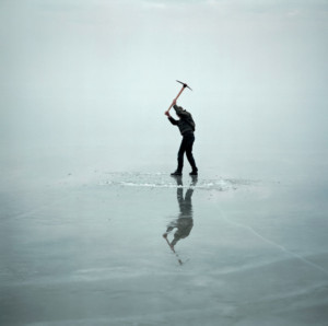 'The World To Come: Art In The Age Of The Anthropocene' Opening At U-M Museum Of Art Image