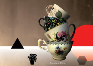 Red Stitch Presents The Australian Premiere Of ESCAPED ALONE Image