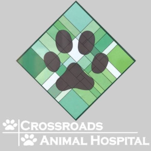 Crossroads Animal Hospital Presents Pet Fest Image
