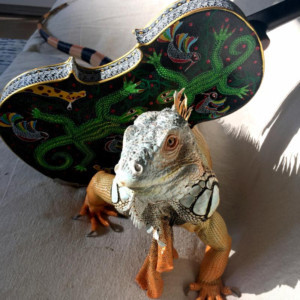 Composers Concordance's 8th Annual Festival Continues With ANIMAL GALLERY Image