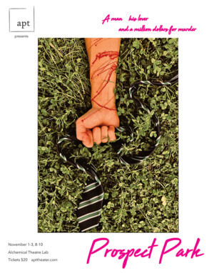 APT Theater Presents New Gay Thriller PROSPECT PARK Image