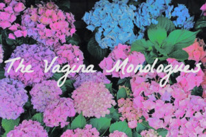 International Cast Of Women To Perform In A Production Of THE VAGINA MONOLOGUES In New York To Raise Funds For Women In Need Image