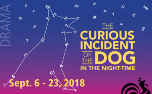 Solve The Mystery of THE CURIOUS INCIDENT OF THE DOG IN THE NIGHT-TIME at Weathervane Playhouse 