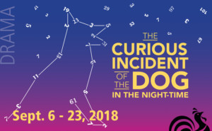 Solve The Mystery of THE CURIOUS INCIDENT OF THE DOG IN THE NIGHT-TIME at Weathervane Playhouse Image
