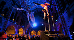 Fly High At Norwich's Oak Circus Centre Image