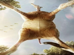 10th Annual Comp-Play-Comp Marathon Announces 'Animal' Theme Image