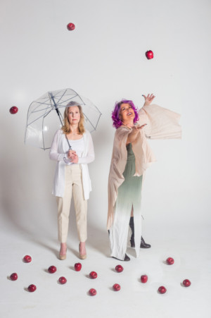 Threshold Stage Company Presents Sarah Ruhl's THE CLEAN HOUSE Image