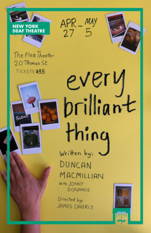 New York Deaf Theatre Presents EVERY BRILLIANT THING  Image