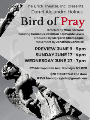 Brick Theater Inc. Presents BIRD OF PRAY Image