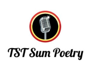 Towne Street Theatre's TST Summer Series Presents Nights Of Sum Poetry 