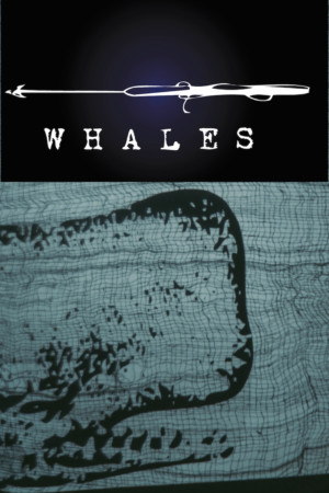 Hit The Lights! Theater Co. Presents WHALES At The Peoples Improv Theater Image