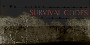 Brooklyn Music School Presents SURVIVAL CODES, A New Play By Pianist/Composer Alon Nechushtan 