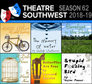 Theatre Southwest Announces 62nd Season - A DOLL'S HOUSE, and More!  Image