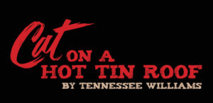 Andrea Lynn Green And Michael Raver To Lead MTC Mainstage's CAT ON A HOT TIN ROOF Image