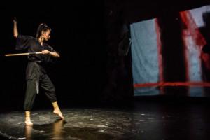 Ninja Ballet 2018 Season to Fuse Ballet And Martial Arts 