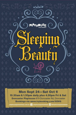 SLEEPING BEAUTY Comes to The Doncaster Playhouse  Image