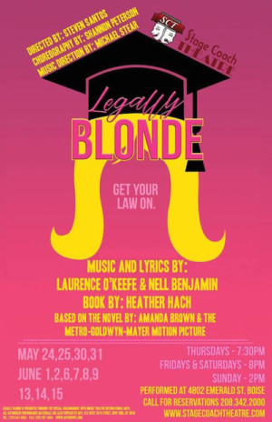LEGALLY BLONDE Comes to Stage Coach Theatre 