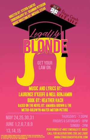 LEGALLY BLONDE Comes to Stage Coach Theatre Image