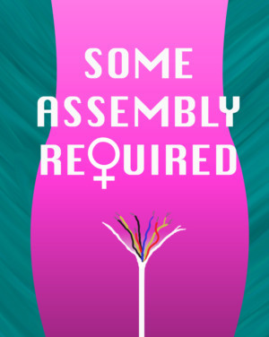 SOME ASSEMBLY REQUIRED Comes to The New York Theater Festival's SummerFest 2018  Image