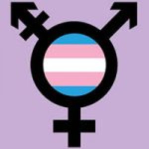 TRANS VIEWS to Tour Rhode Island Image