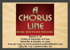 A CHORUS LINE Comes to Music Mountain Theater Image