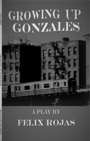 Hit Play GROWING UP GONZALES Moves to 777 Theater Image